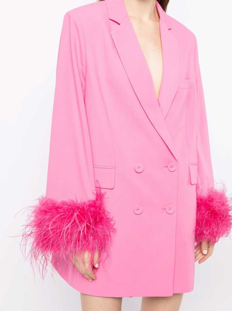 Rent the Rachel Gilbert Lincoln Mini Dress with pink feathers at Rites