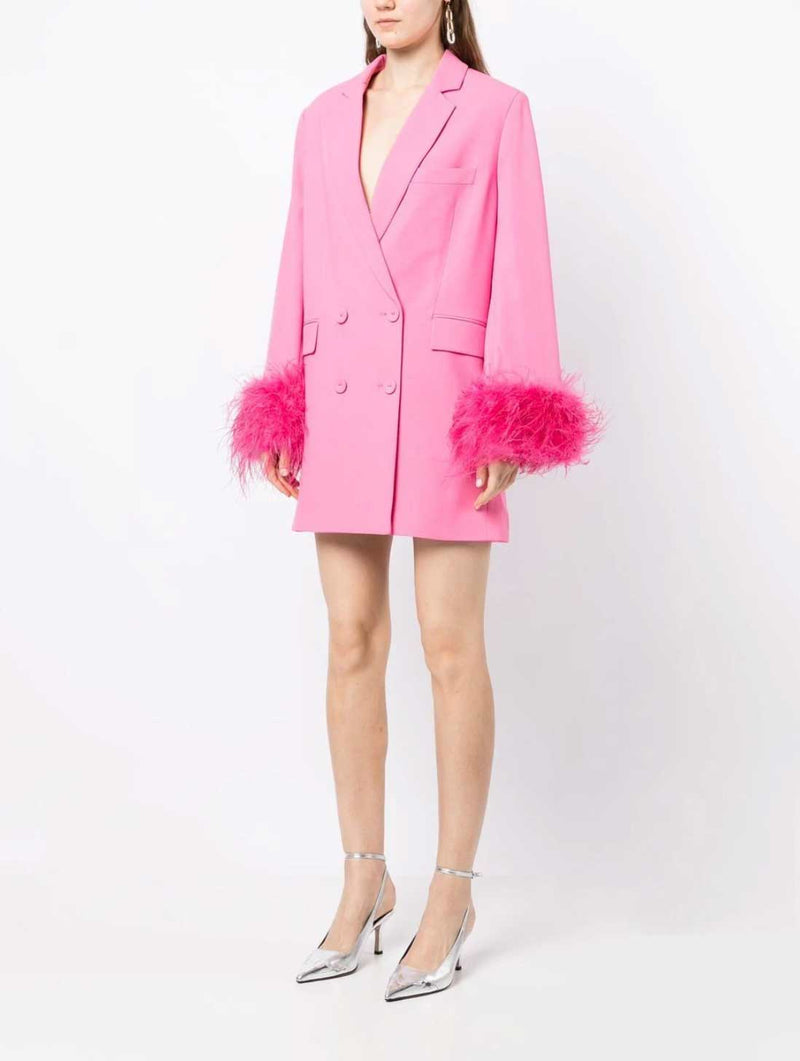 Rent the Rachel Gilbert Lincoln Mini Dress in pink at Rites model