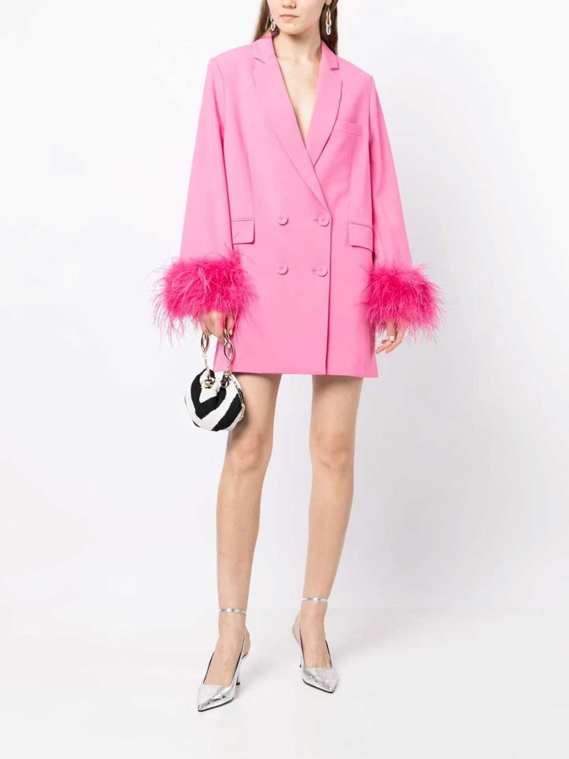 Rent the Rachel Gilbert pink feather Lincoln Mini Dress at Rites