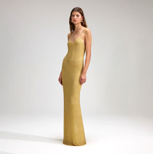 Rent the Yellow Embellished Maxi Dress by Self Portrait at Rites