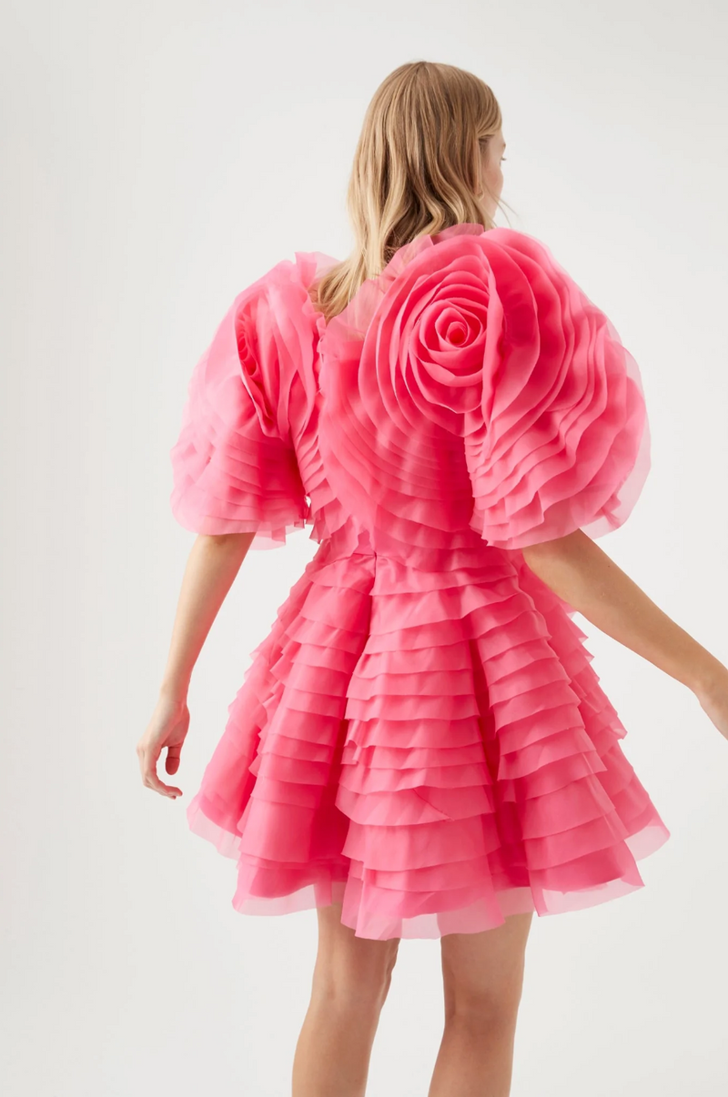 Ruffle pink shop dress